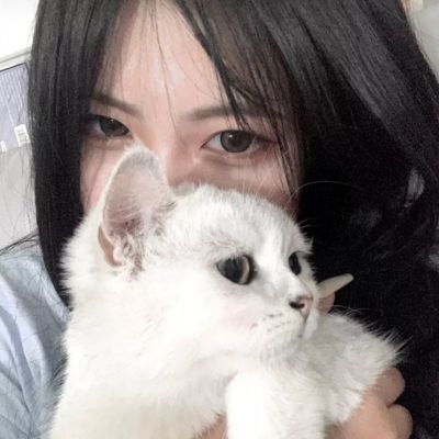 荆门房产信息网截图